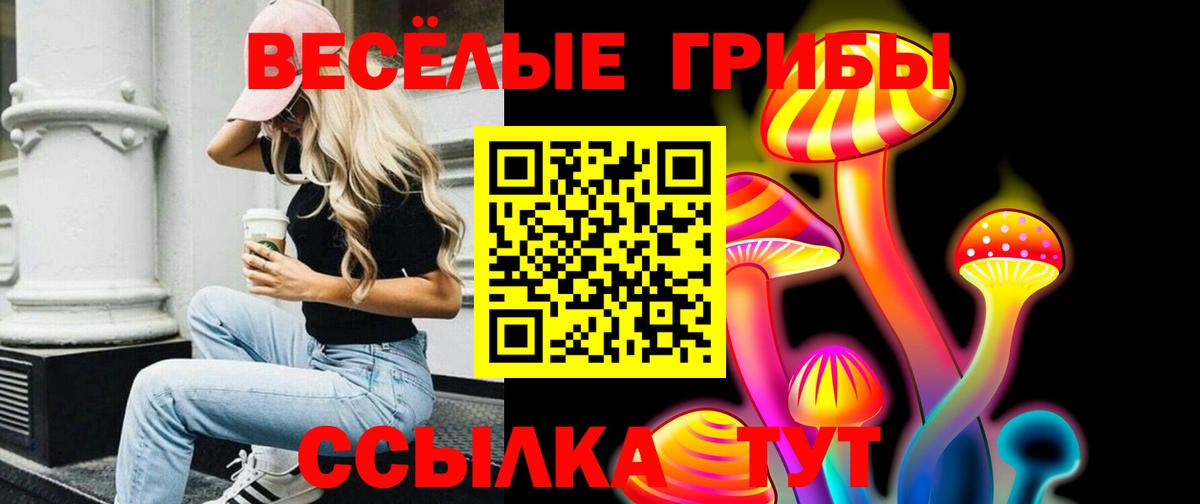 Чебаркуль  Галлюциногенные грибы GOLDEN TEACHER  Вход с VPN 